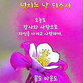 댓글 첨부 이미지