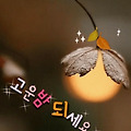 댓글 첨부 이미지