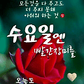 댓글 첨부 이미지