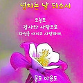 댓글 첨부 이미지
