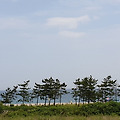 '아직은 해수욕장이 한' 글에 포함된 이미지