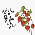 댓글 첨부 이미지