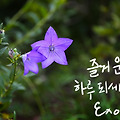 '안녕하세요.꽃에 관심' 글에 포함된 이미지