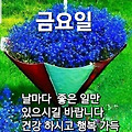 '님들!~~맛점하셨나요?' 글에 포함된 이미지