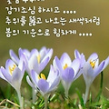 '출석합니다 ' 글에 포함된 이미지