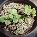 '바람도 세고  사람 진' 글에 포함된 이미지