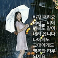 '비가많이내려서 뚝방' 글에 포함된 이미지