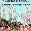 '님들!~~가을이 깊어가' 글에 포함된 이미지