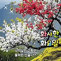 '봄기운 가득담는~♬✿' 글에 포함된 이미지