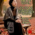 '님들!~~찬 바람이 옷' 글에 포함된 이미지