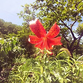 '창밖엔 비내리고요.' 글에 포함된 이미지
