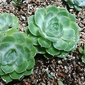 '8월정모가 이번 금요' 글에 포함된 이미지