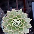 '출석합니다오늘 넘추' 글에 포함된 이미지