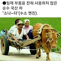 '출석합니다' 글에 포함된 이미지