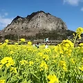 '묵은 해 다 보내고 새' 글에 포함된 이미지