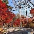 '님들!~~날씨도 좋은 1' 글에 포함된 이미지