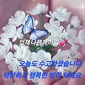 '님들!~~오늘은 봄날처' 글에 포함된 이미지