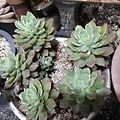 '출석합니다 눈이 온더' 글에 포함된 이미지