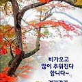 '님들!~안녕하세요?가' 글에 포함된 이미지