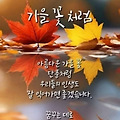 '님들!~~한 주 마감 잘' 글에 포함된 이미지