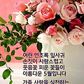 '가정의 달 5월~꽃사님' 글에 포함된 이미지