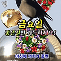 '설 연휴를 앞둔 발걸' 글에 포함된 이미지