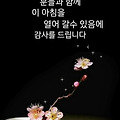 댓글 첨부 이미지