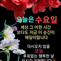 댓글 첨부 이미지