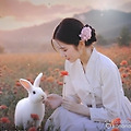 댓글 첨부 이미지