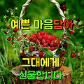 댓글 첨부 이미지