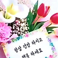 댓글 첨부 이미지