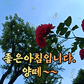 댓글 첨부 이미지