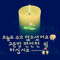 댓글 첨부 이미지