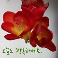 댓글 첨부 이미지