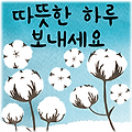 댓글 첨부 이미지