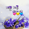 댓글 첨부 이미지