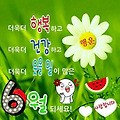 댓글 첨부 이미지