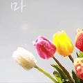 댓글 첨부 이미지