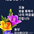 댓글 첨부 이미지