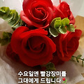 댓글 첨부 이미지