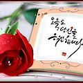 댓글 첨부 이미지