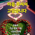 댓글 첨부 이미지