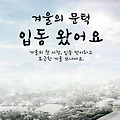 댓글 첨부 이미지