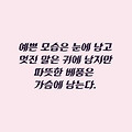 댓글 첨부 이미지
