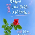 댓글 첨부 이미지