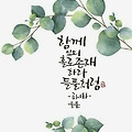 댓글 첨부 이미지