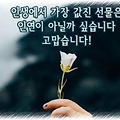댓글 첨부 이미지