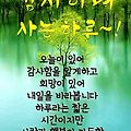 댓글 첨부 이미지