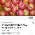 댓글 첨부 이미지