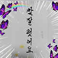 댓글 첨부 이미지